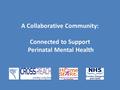 A Collaborative Community: Connected to Support Perinatal Mental Health.