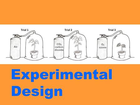 Experimental Design. Understanding how experiments are designed is an important aspect of your science education. Today, we will look at a few experiments.