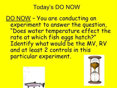 Today’s DO NOW DO NOW – You are conducting an experiment to answer the question, “Does water temperature effect the rate at which fish eggs hatch?” Identify.