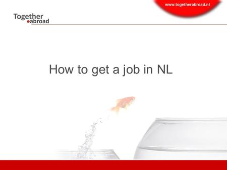 How to get a job in NL. Content  Employment market  Where to search for jobs  Questions  How to search/ Social media recruitment trends.