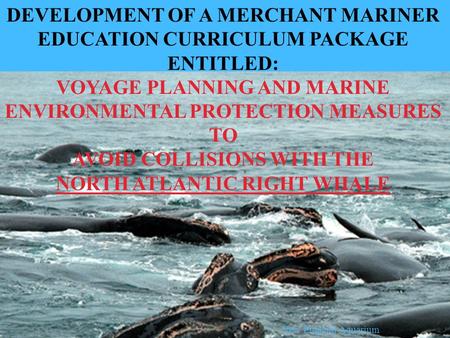 DEVELOPMENT OF A MERCHANT MARINER EDUCATION CURRICULUM PACKAGE ENTITLED: VOYAGE PLANNING AND MARINE ENVIRONMENTAL PROTECTION MEASURES TO AVOID COLLISIONS.