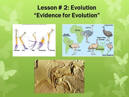 Lesson # 2: Evolution “Evidence for Evolution”. We will look at major evidence supporting theories of evolution: 1.Fossil Record 2.Comparative Anatomy.