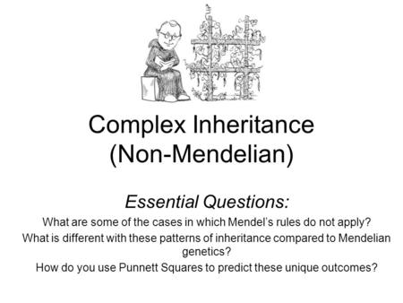 Complex Inheritance (Non-Mendelian) Essential Questions: What are some of the cases in which Mendel’s rules do not apply? What is different with these.