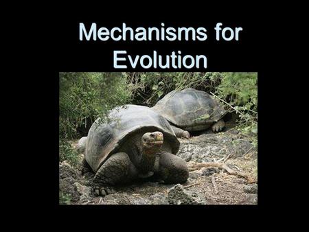 Mechanisms for Evolution. Differing Viewpoints… Jean-Baptiste Lamarck Jean-Baptiste Lamarck Evolution occurs through the use and disuse of physical featuresEvolution.