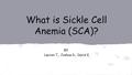 What is Sickle Cell Anemia (SCA)? BY Lauren T., Joshua D., David K.