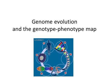 Genome evolution and the genotype-phenotype map. Mendelian inheritance.