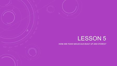 LESSON 5 HOW ARE FOOD MOLECULES BUILT UP AND STORED?