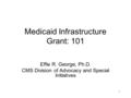 1 Medicaid Infrastructure Grant: 101 Effie R. George, Ph.D. CMS Division of Advocacy and Special Initiatives.