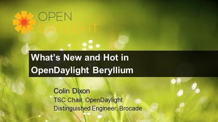 What’s New and Hot in OpenDaylight Beryllium Colin Dixon TSC Chair, OpenDaylight Distinguished Engineer, Brocade.