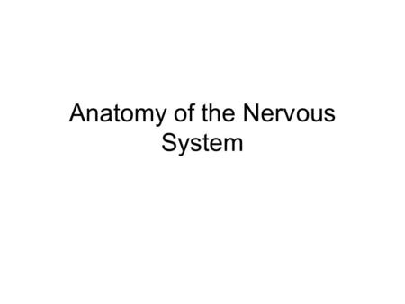 Anatomy of the Nervous System. Nervous and Endocrine Systems work together to maintain homeostasis Nervous System Electrical signals FAST – milliseconds.