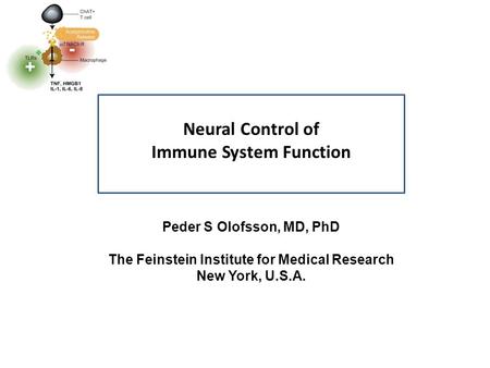 Neural Control of Immune System Function