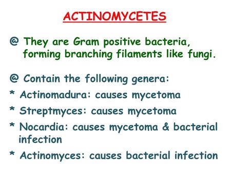 They are Gram positive bacteria, forming branching filaments like Contain the following genera: * Actinomadura: causes mycetoma.