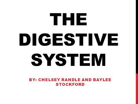 THE DIGESTIVE SYSTEM BY: CHELSEY RANDLE AND BAYLEE STOCKFORD.