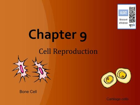 Chapter 9 Cell Reproduction. 1.Ratio of Surface Area to Volume Chapter 9 Cellular Reproduction What is the Surface area and volume of these cubes?