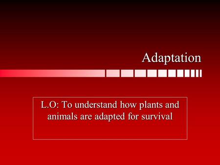 Adaptation L.O: To understand how plants and animals are adapted for survival.