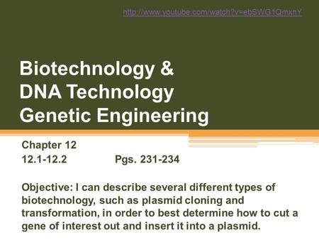 Biotechnology & DNA Technology Genetic Engineering Chapter 12 12.1-12.2Pgs. 231-234 Objective: I can describe several different types of biotechnology,