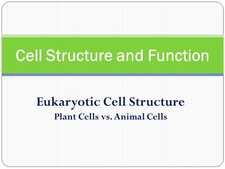 Eukaryotic Cell Structure Plant Cells vs. Animal Cells Cell Structure and Function.