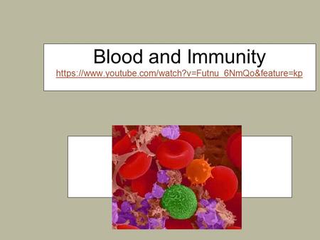 Blood and Immunity https://www.youtube.com/watch?v=Futnu_6NmQo&feature=kp https://www.youtube.com/watch?v=Futnu_6NmQo&feature=kp.