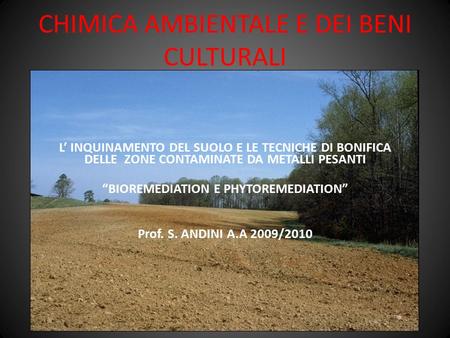 CHIMICA AMBIENTALE E DEI BENI CULTURALI L’ INQUINAMENTO DEL SUOLO E LE TECNICHE DI BONIFICA DELLE ZONE CONTAMINATE DA METALLI PESANTI “BIOREMEDIATION E.