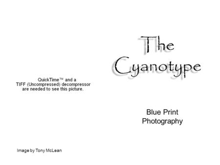 Blue Print Photography