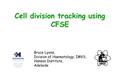 Cell division tracking using CFSE