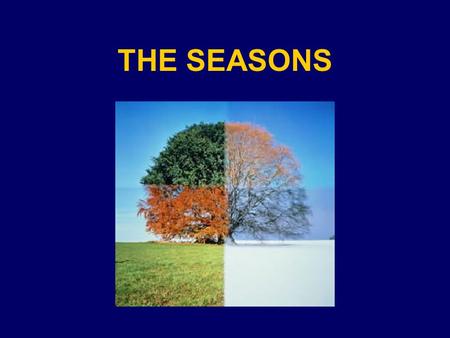 THE SEASONS. WHAT DO YOU KNOW? In small groups, answer the following questions on large chart paper… –What are the names of our seasons? –Why do we have.