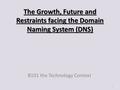 The Growth, Future and Restraints facing the Domain Naming System (DNS) B101 the Technology Context 1.