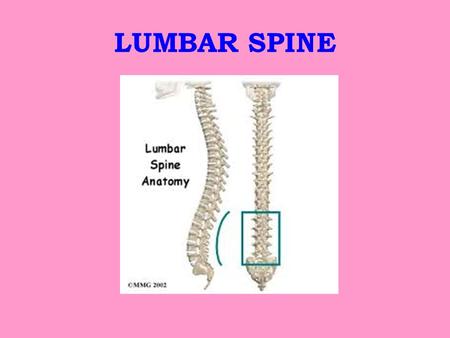 LUMBAR SPINE.