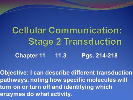 Chapter 1111.3Pgs. 214-218 Objective: I can describe different transduction pathways, noting how specific molecules will turn on or turn off and identifying.