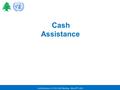 Cash Assistance / SC & LH WG Meeting – May 19 th, 2014 Cash Assistance.