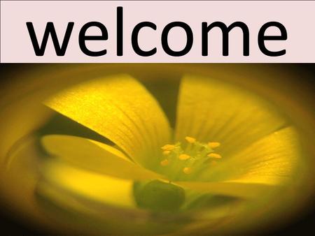 Welcome.