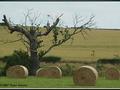 Managing Rural Change. Key questions. What are the characteristics of rural areas? What are the social and economic issues associated with.