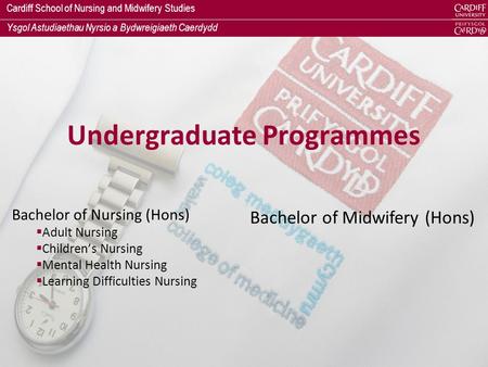 Cardiff School of Nursing and Midwifery Studies Ysgol Astudiaethau Nyrsio a Bydwreigiaeth Caerdydd Undergraduate Programmes Bachelor of Nursing (Hons)