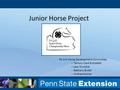 Junior Horse Project PA 4-H Horse Development Committee -- Tammy Clark Eichstadt -- Lew Trumble -- Bethany Bickel -- Andrea Kocher.