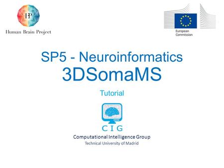 SP5 - Neuroinformatics 3DSomaMS Tutorial Computational Intelligence Group Technical University of Madrid.