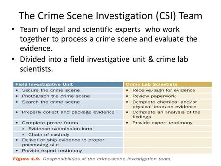 The Crime Scene Investigation (CSI) Team Team of legal and scientific experts who work together to process a crime scene and evaluate the evidence. Divided.