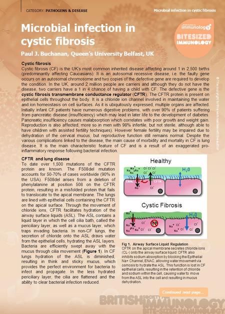 CATEGORY: PATHOGENS & DISEASE Fig 1. Airway Surface Liquid Regulation CFTR on the apical membrane secretes chloride ions (CL-) onto the airway surface.