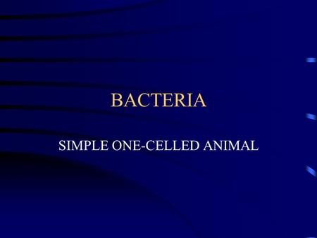 BACTERIA SIMPLE ONE-CELLED ANIMAL. LISTERIA BACTERIA.