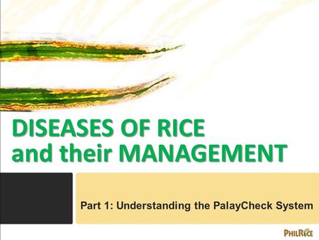 DISEASES OF RICE and their MANAGEMENT