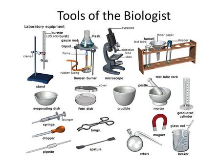 Tools of the Biologist. In order to observe, discover, and explore, scientists use many different pieces of lab equipment. A.Measuring Length 1. Meter.