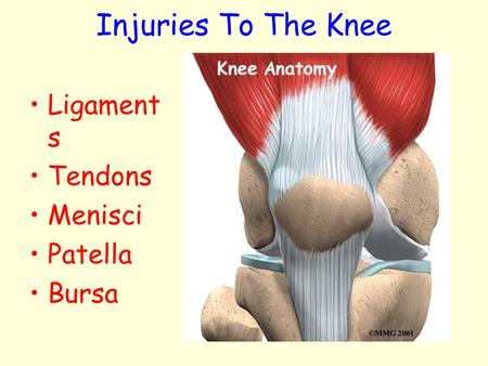 Injuries To The Knee Ligaments Tendons Menisci Patella Bursa.