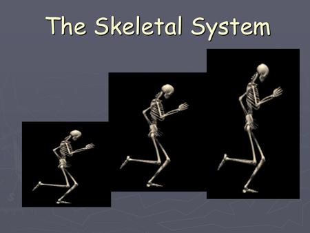 The Skeletal System. 5 Functions of the Skeletal System 1. Shape and Support: The backbone is the main support center for the upper body. It holds your.