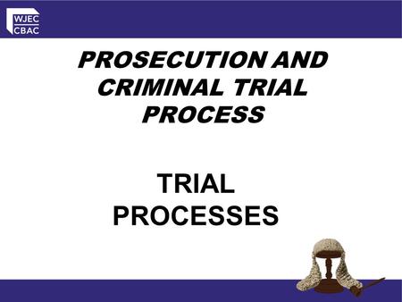 PROSECUTION AND CRIMINAL TRIAL PROCESS TRIAL PROCESSES.