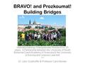 BRAVO! and Prozkoumat! Building Bridges Internationalizing Undergraduate Research for 25 years: A Partnership between the University of South Bohemia/Czech.