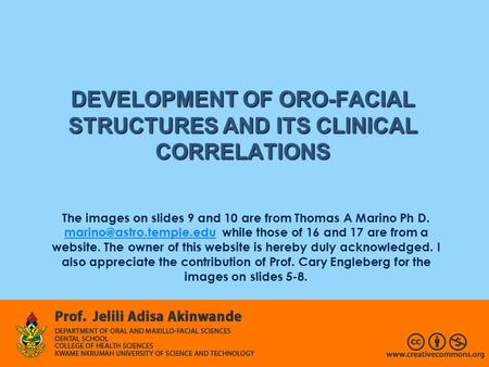 DEVELOPMENT OF ORO-FACIAL STRUCTURES AND ITS CLINICAL CORRELATIONS The images on slides 9 and 10 are from Thomas A Marino Ph D.