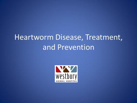 Heartworm Disease, Treatment, and Prevention. Disease- Canine Vector= mosquito The dog is a natural host for heartworms, Heartworms that live inside the.