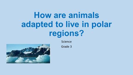 How are animals adapted to live in polar regions? Science Grade 3.