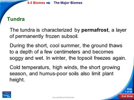 End Show 4-3 Biomes Slide 1 of 54 Copyright Pearson Prentice Hall The Major Biomes Tundra The tundra is characterized by permafrost, a layer of permanently.