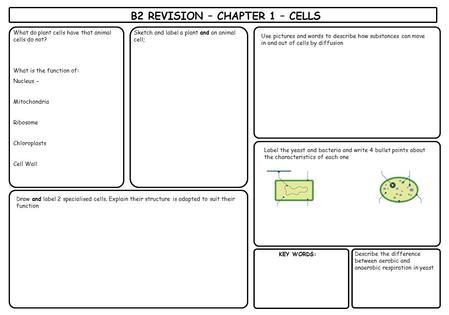 B2 REVISION – CHAPTER 1 – CELLS