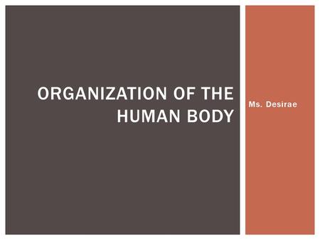 Ms. Desirae ORGANIZATION OF THE HUMAN BODY. Plant and Animal  Nucleus: The “brains” of the cell, the nucleus directs cell activities and contains genetic.